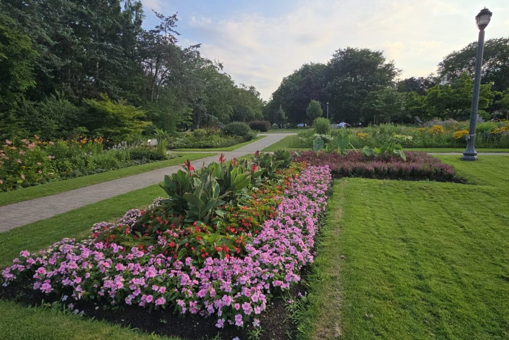 WhatsApp Image 2025-09-03 at 22.55.04_bf06fccd WhatsApp Image 2025-09-03 at 22.55.04_bf06fccd