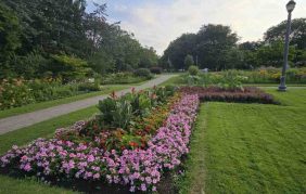 WhatsAppImage2025-09-03at22.55.04_9e281c47